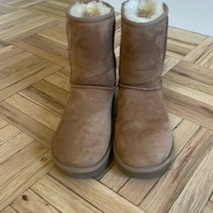 Uggs Classic Short II